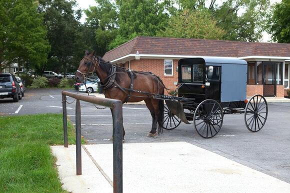 Horse and Buggy of Amish Family Taken from Walmart in Small-Town Michigan