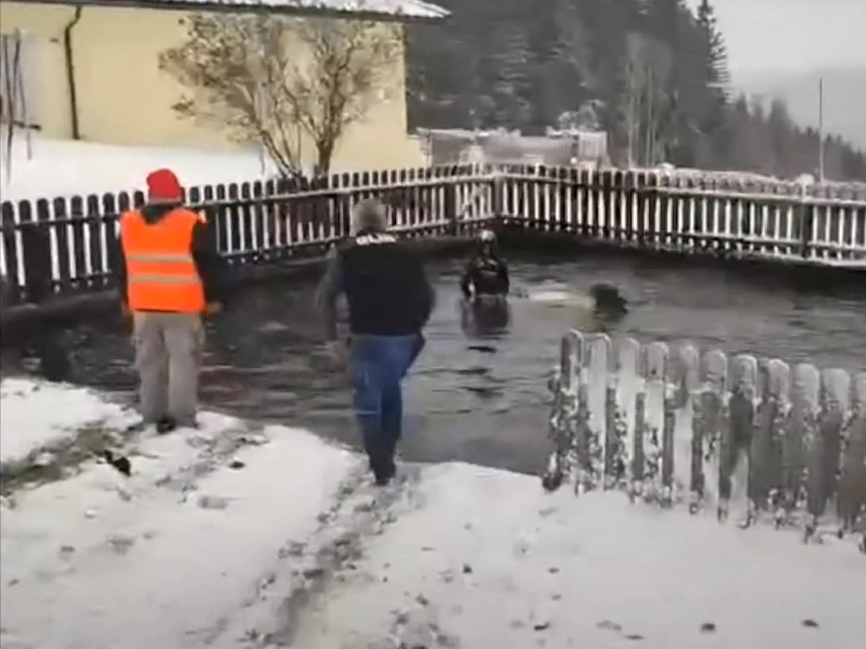 Snowy Plunge: Skoda Fabia Rally Car Takes a Dive into an Austrian Swimming Pool at the 2024 Jännerrallye