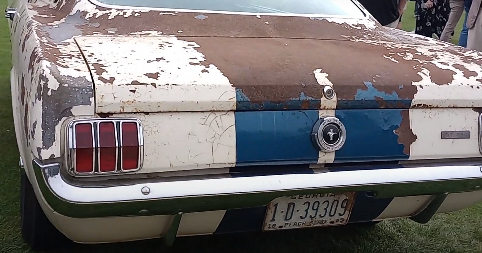 Rare Find 1965 GT350 Barn Find Emerges as Classic Icon