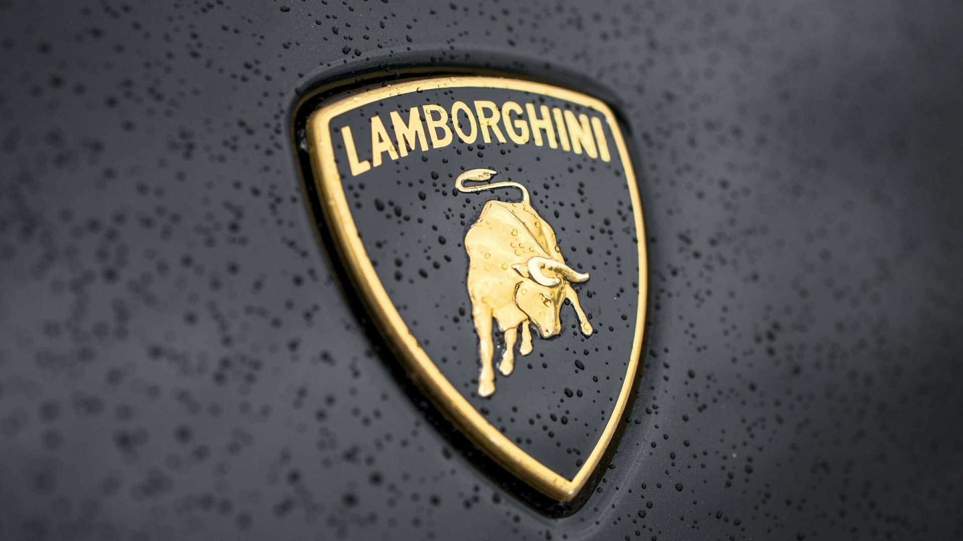 The Old Logo Of Lamborghini (Credits Lamborghini)