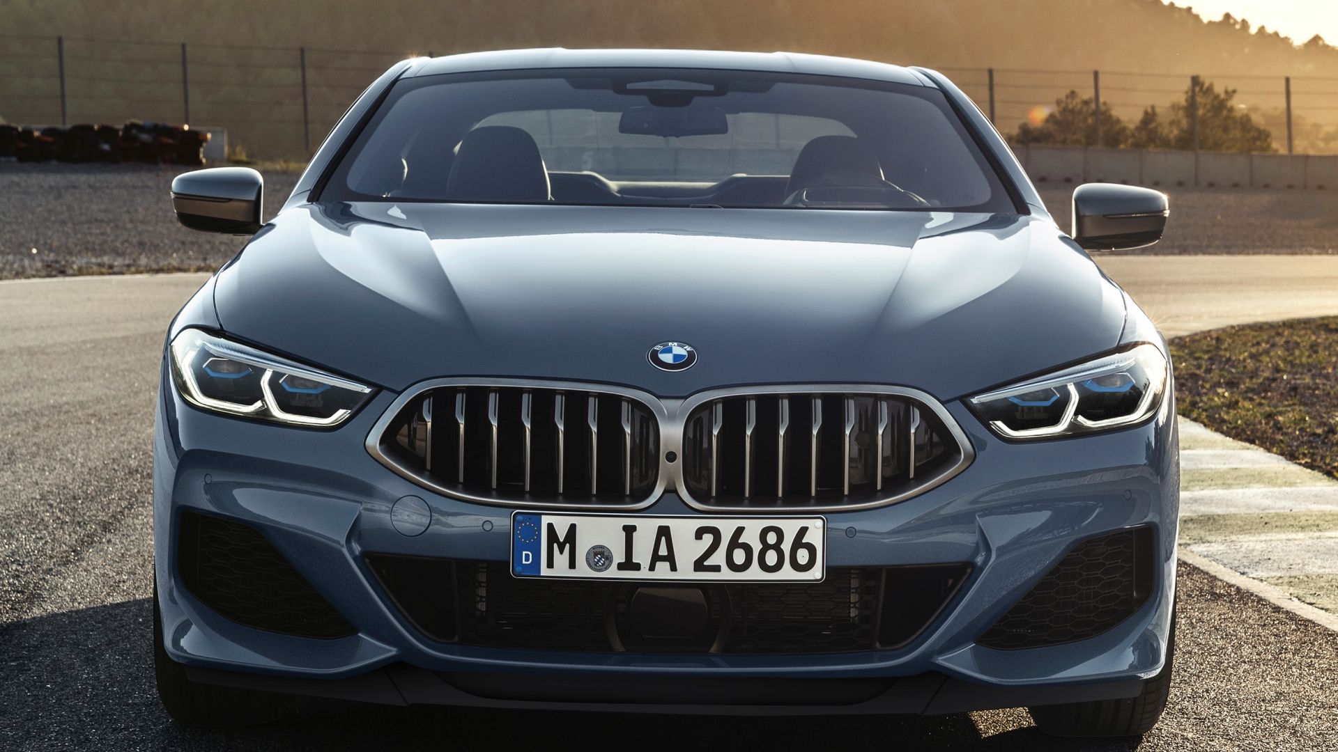 BMW 8 Series (Credits: BMW)