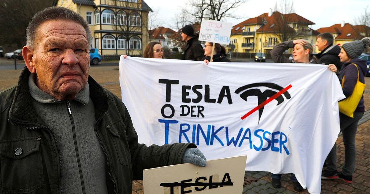 Activists Construct Treehouses in Protest Against Tesla's Proposed Plant Expansion Near Berlin