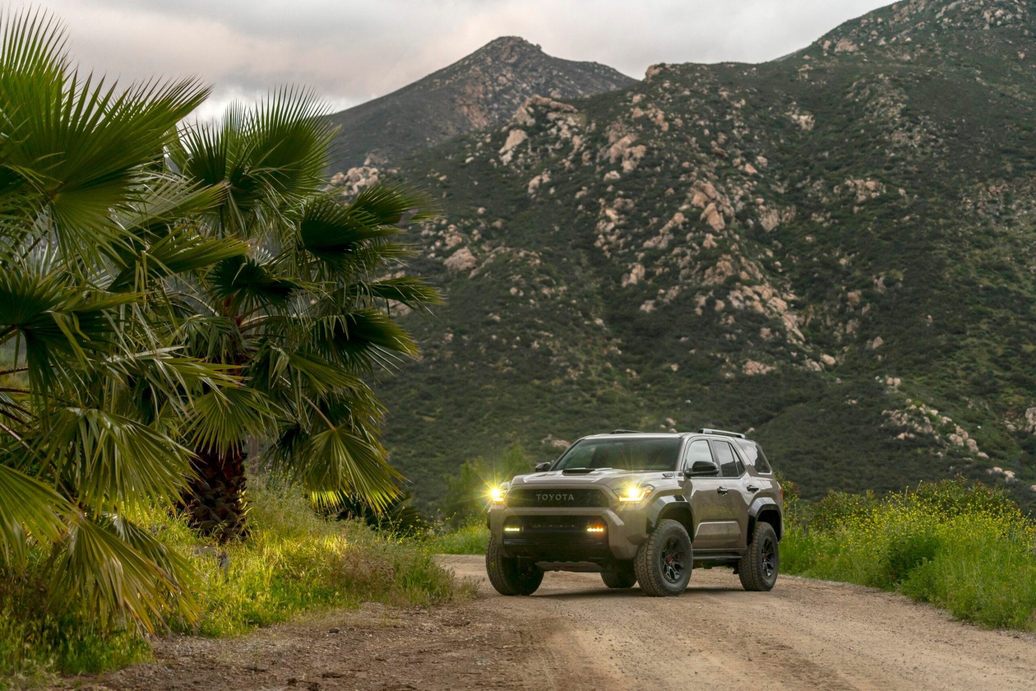 2025 Toyota 4Runner Evolution of OffRoad Legend DAX Street