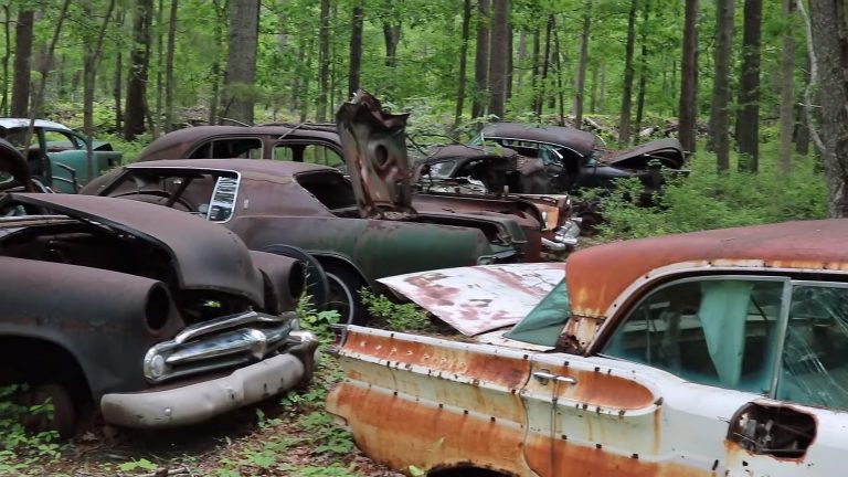 Exploring a Forgotten Junkyard of Automotive History