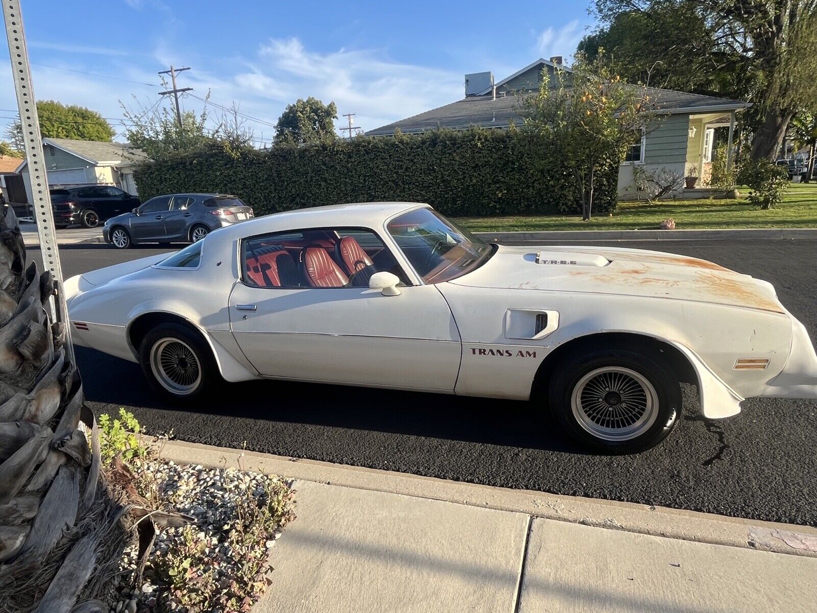 Rare 1977 Trans Am