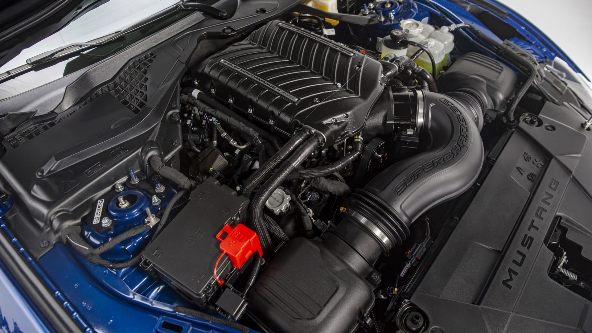 The Coyote 5.0-Liter V-8 Engine (Credits Shelby News And Multimedia)