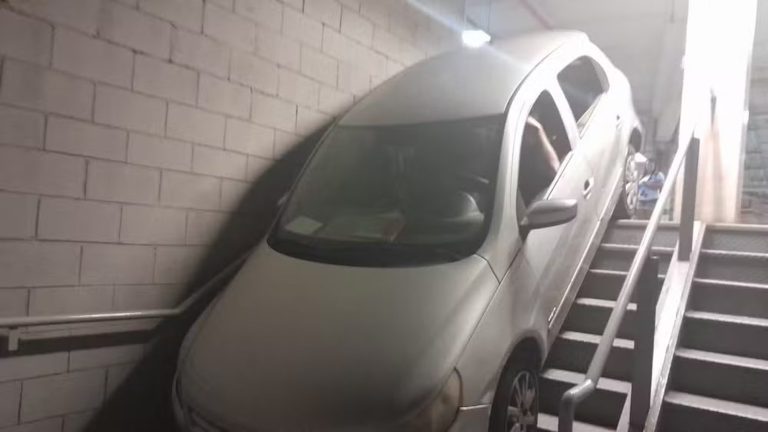 Volkswagen Driver's Parking Mishap