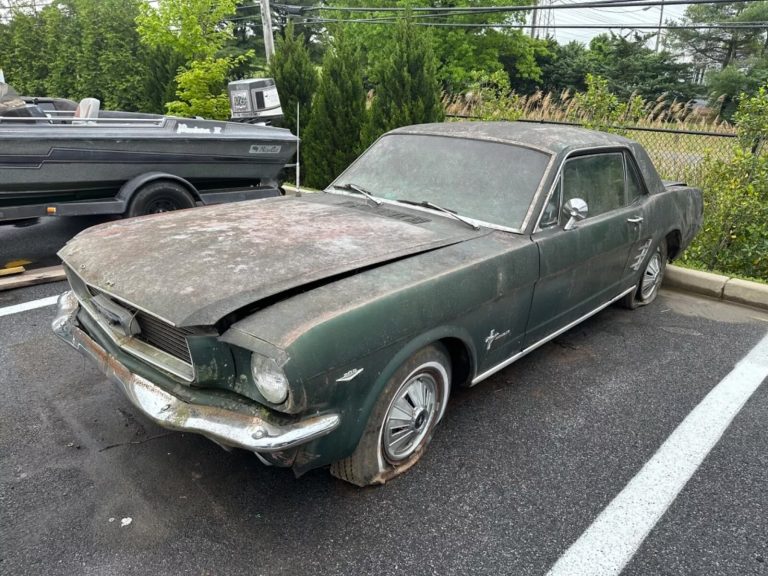 1966 Mustang Ivy Green Project