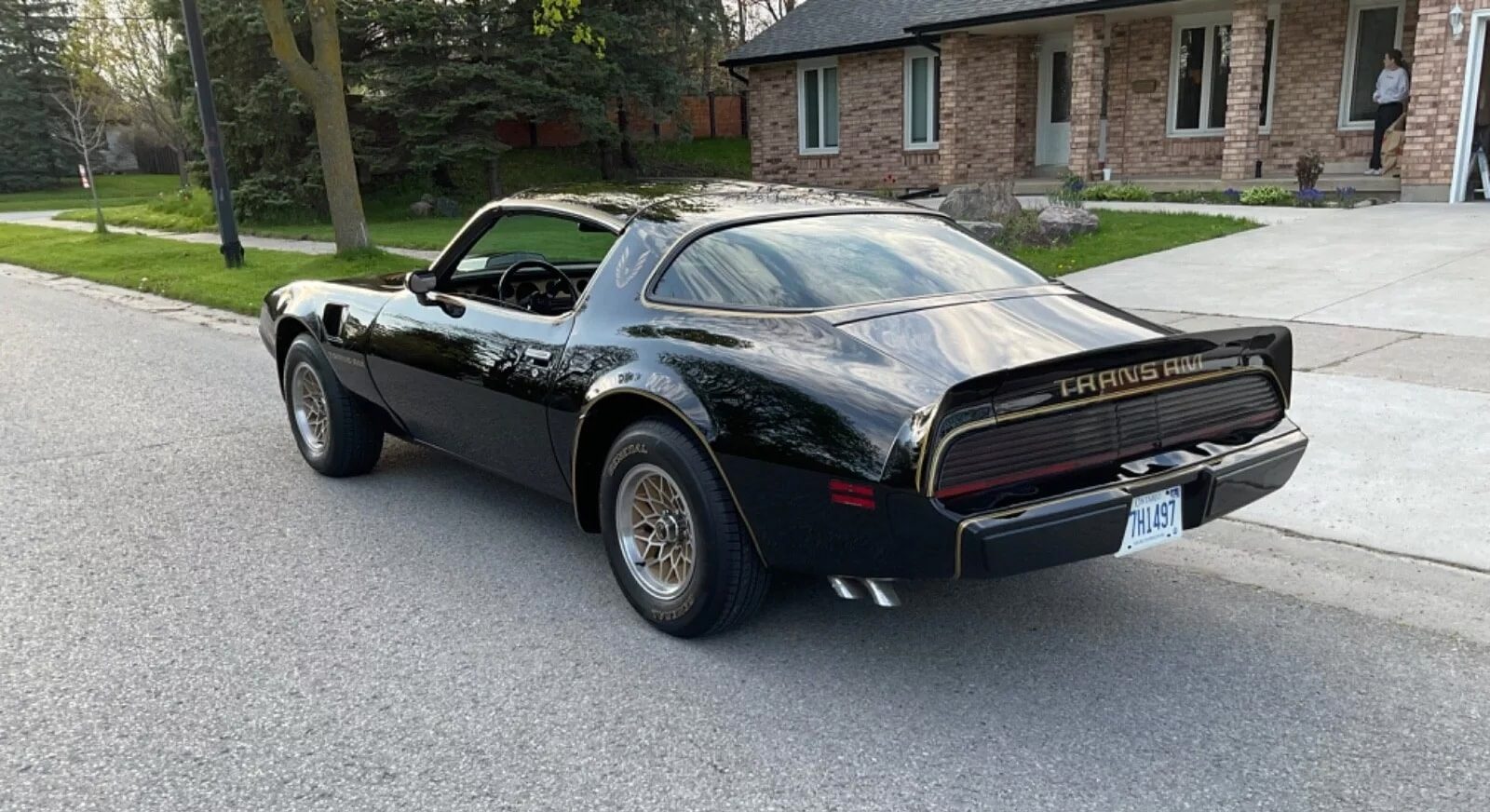 1980 Trans Am Special Edition Rarity