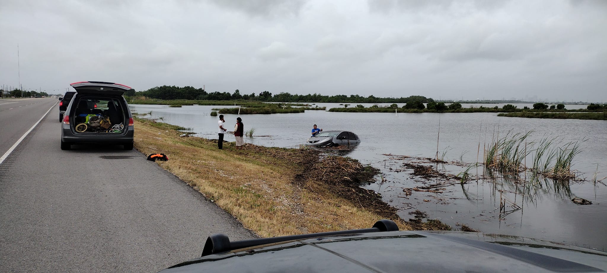 Alligator Encounter Unusual Mishaps on the Road