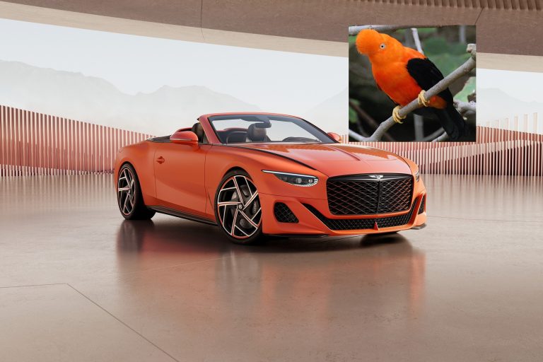 Cars as Animals and Luxury Trends