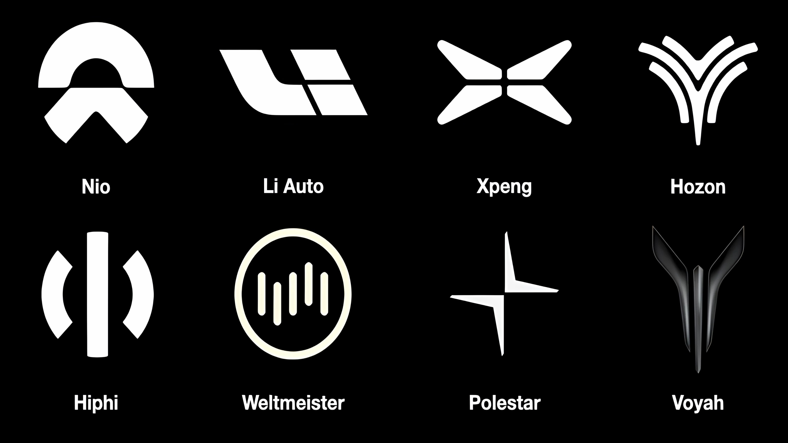 Different Chinese EV Brands