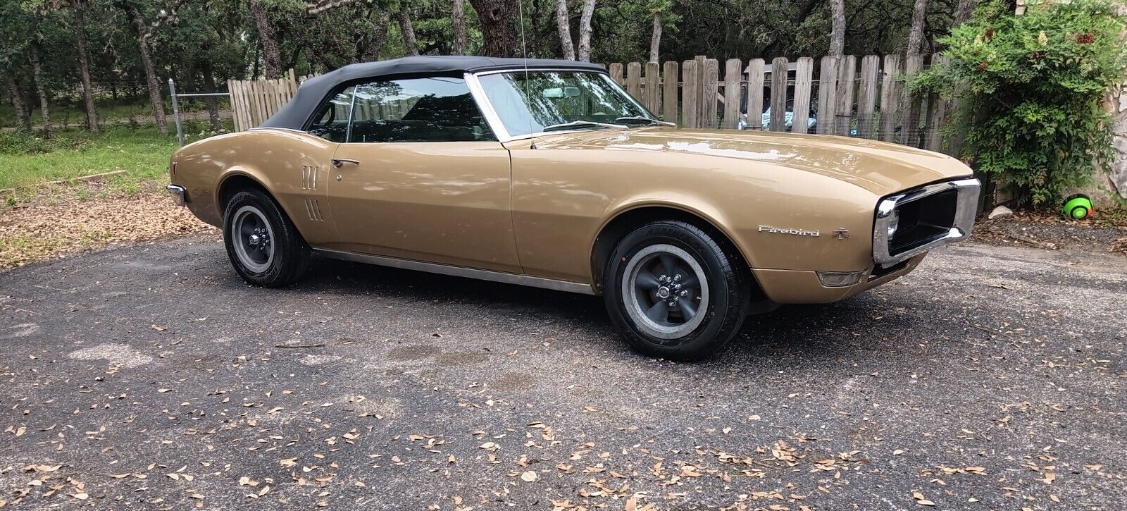 Pristine 1968 Firebird