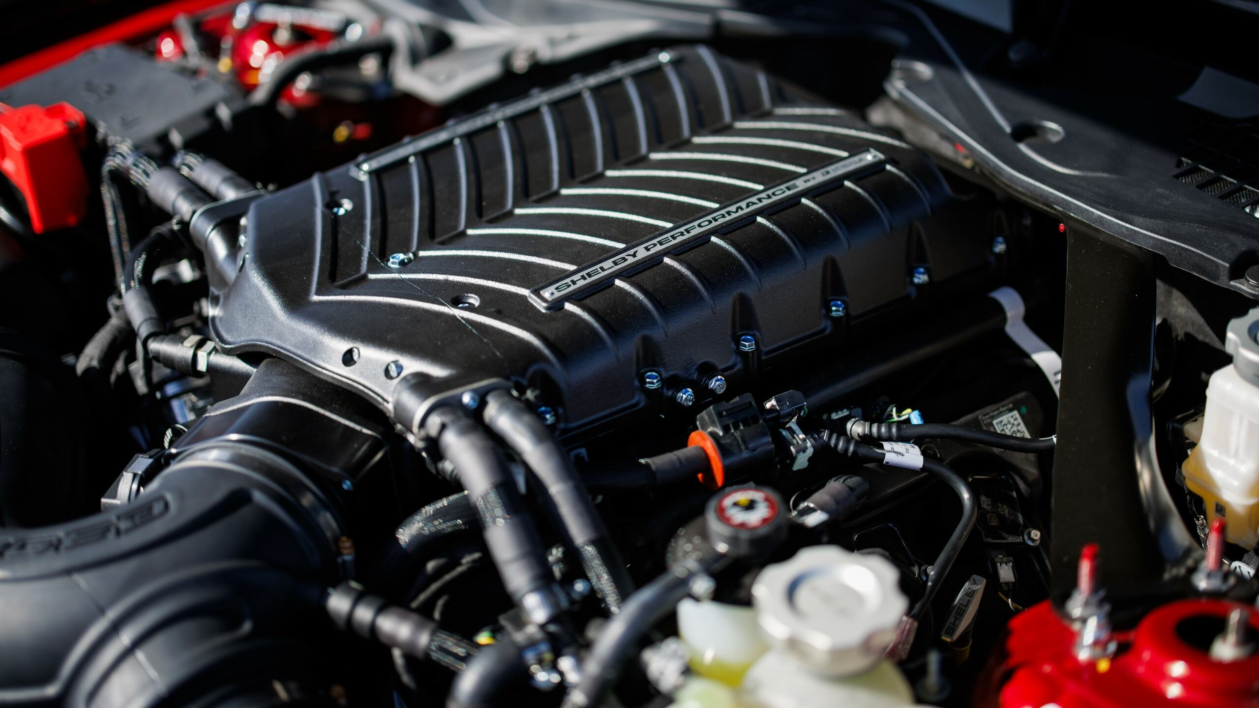 The 5.0L V8 That Is Powering The 2024 Shelby Super Snake