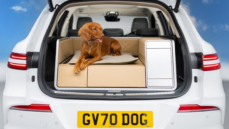 Genesis X Dog Sets New Standards for Canine Car Comfort