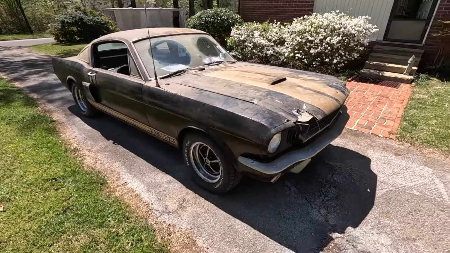 1966 Shelby GT350H: The Iconic Hertz Rent-a-Racer That Became a Beloved ...