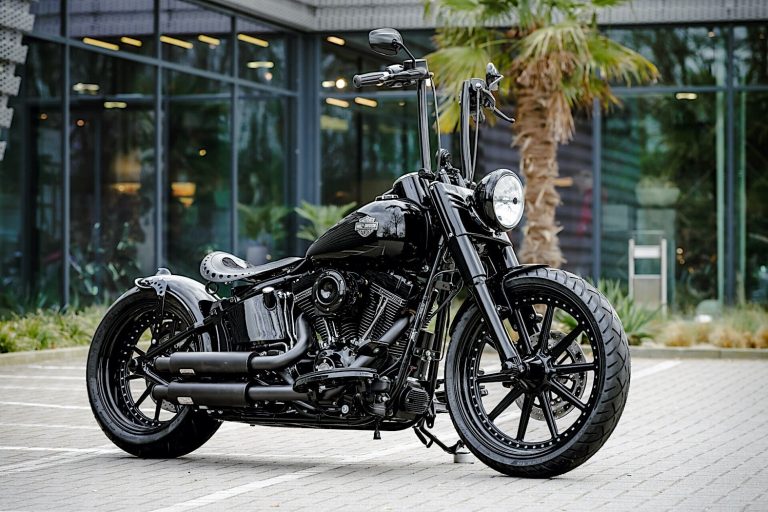 Harley-Davidson Softail Slim S Gets Custom Makeover