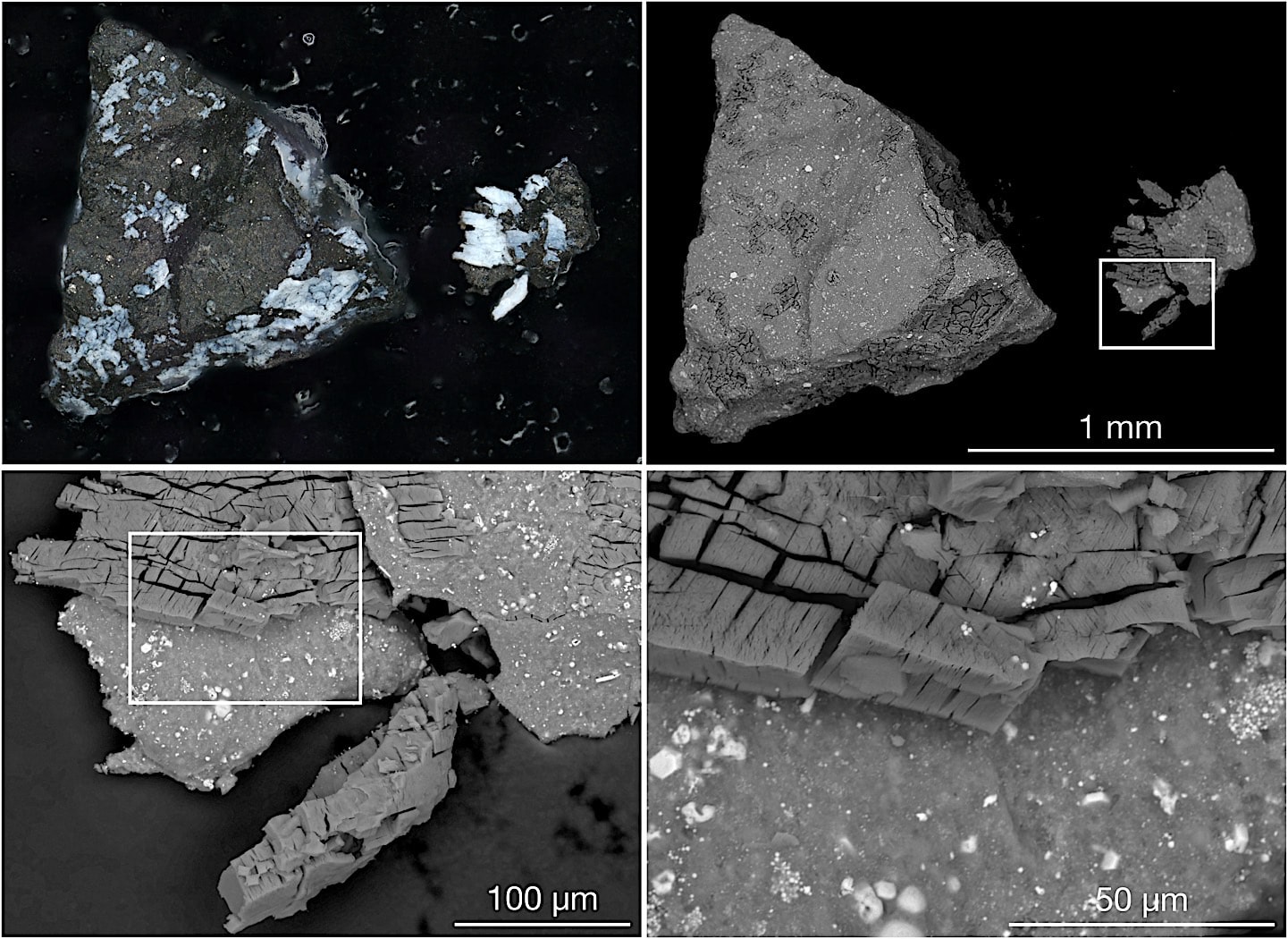 NASA and Global Efforts to Prevent Catastrophic Asteroid Impact