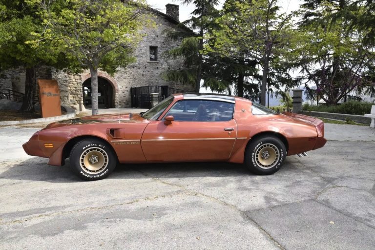 1980 Trans Am Flexes