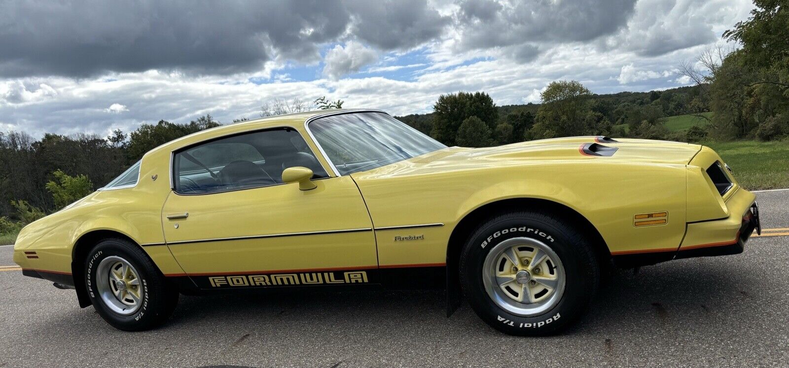 1976 Pontiac Firebird W501