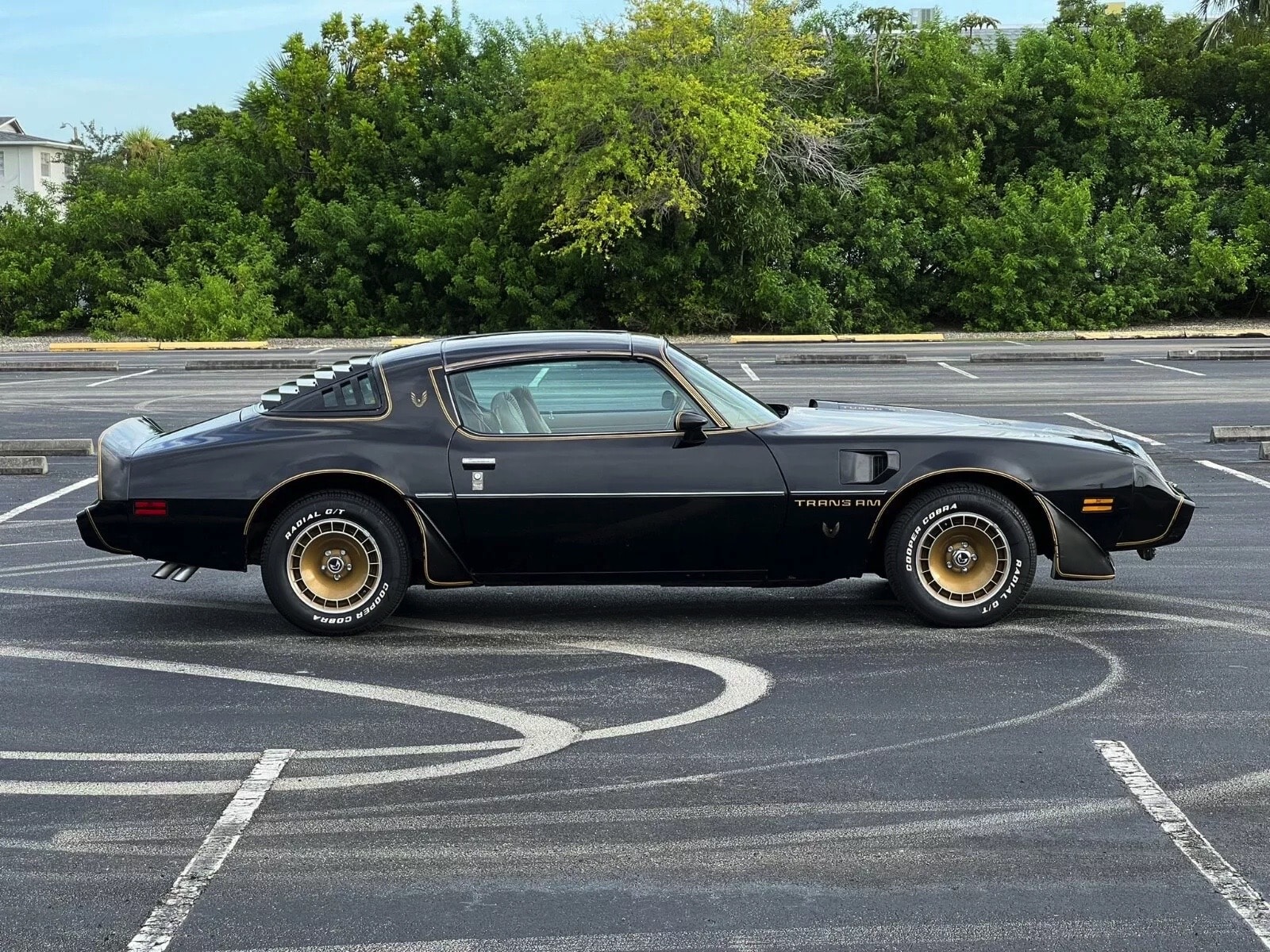 1980 Pontiac Trans Am