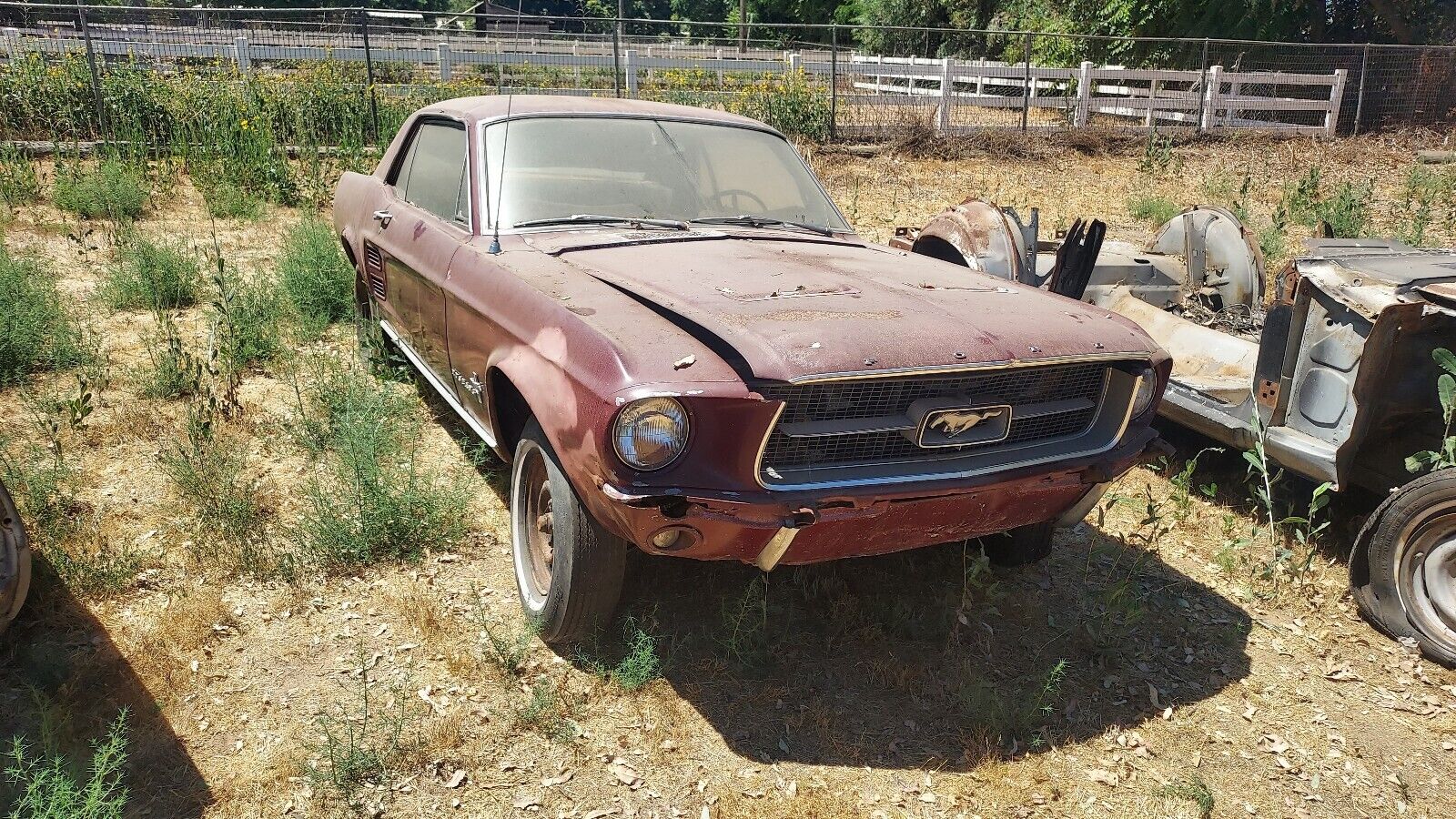 1967 Ford Mustang