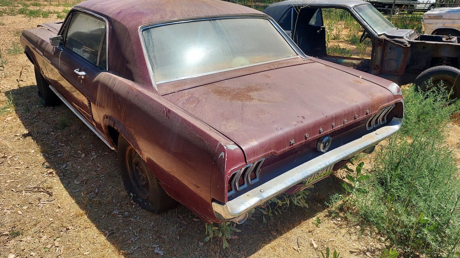 1967 Ford Mustang0