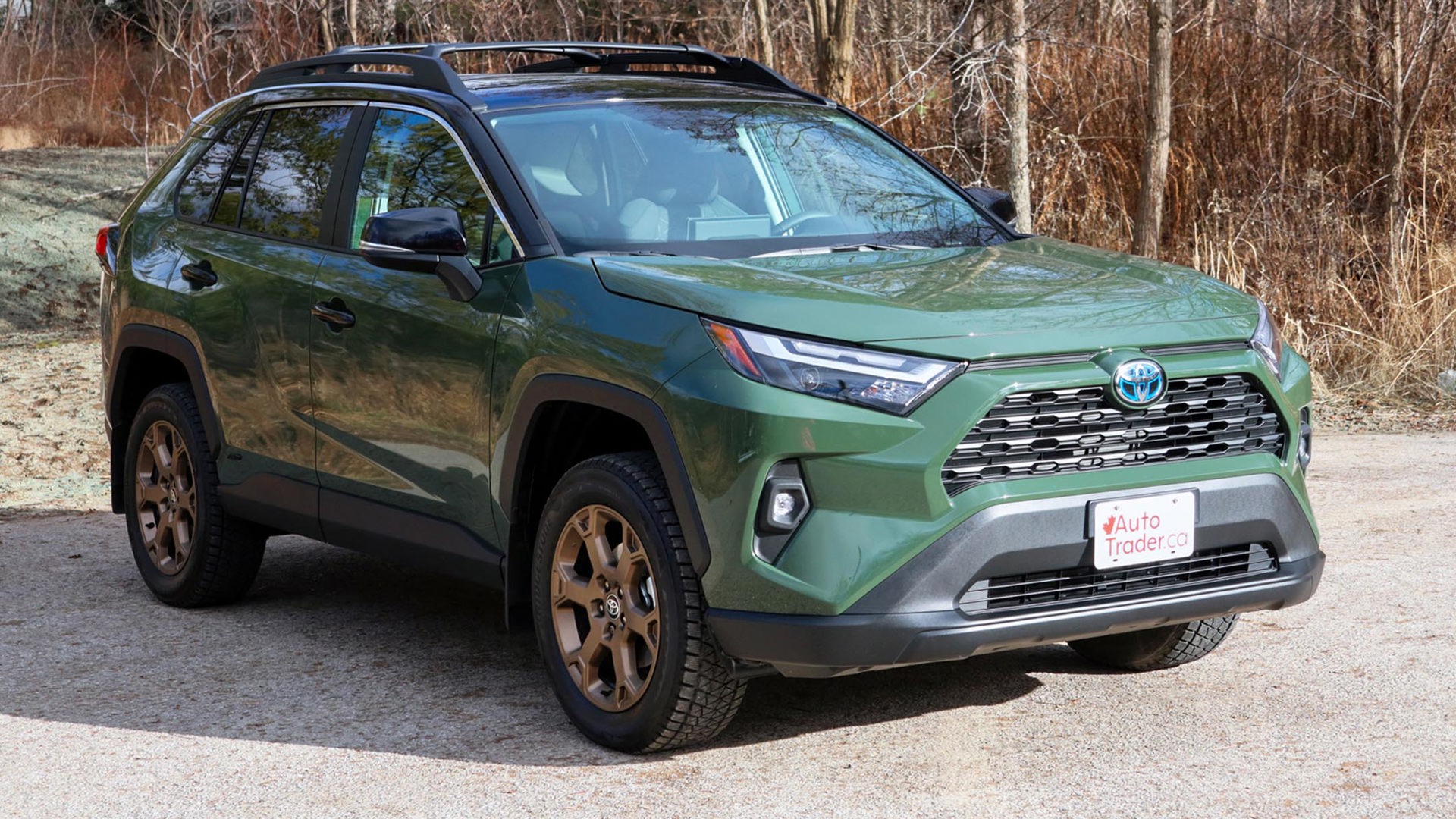 2024 Toyota RAV4 Hybrid XLE Woodland