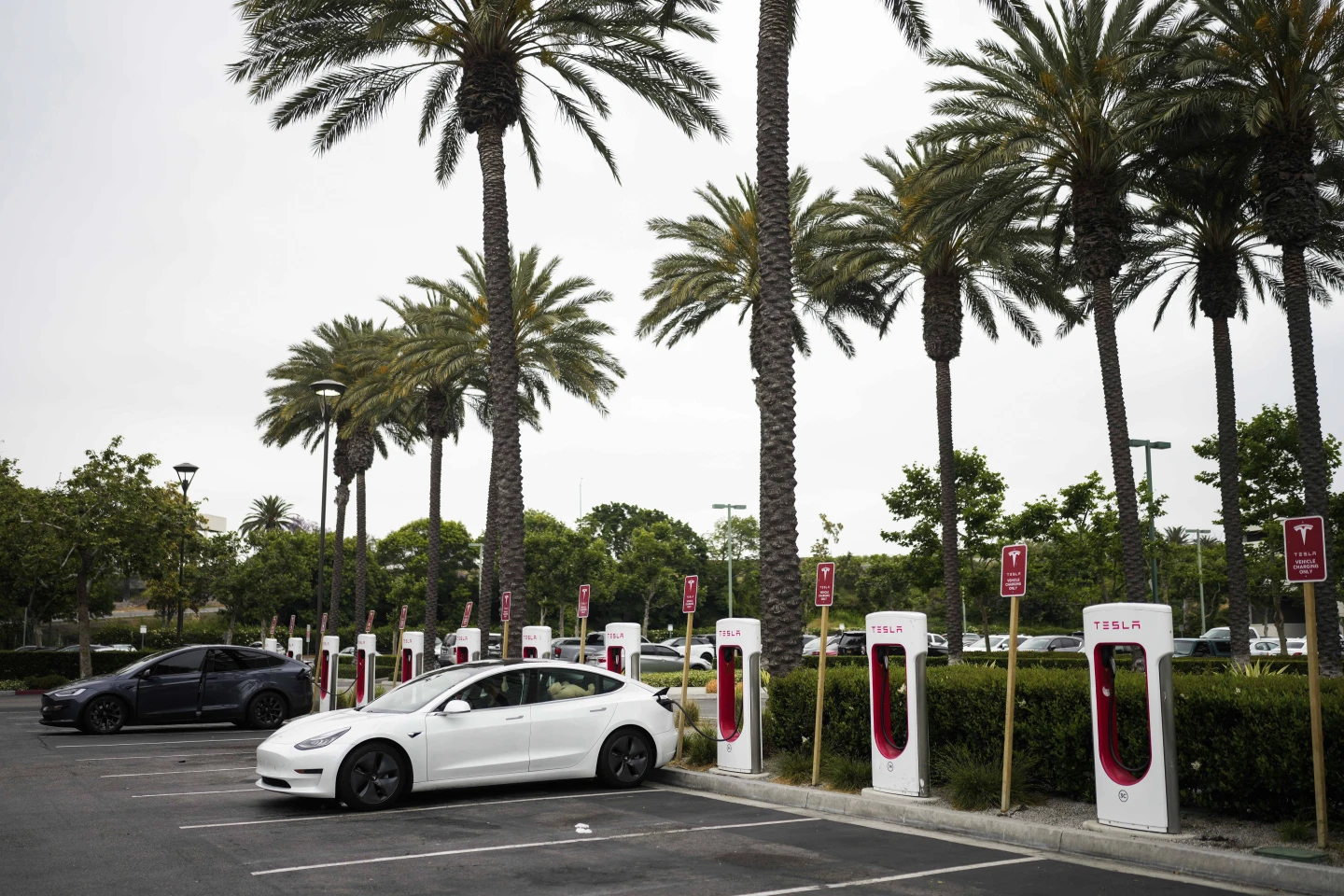 California to Revive EV Rebates Amid Federal Tax Credit Uncertainty1