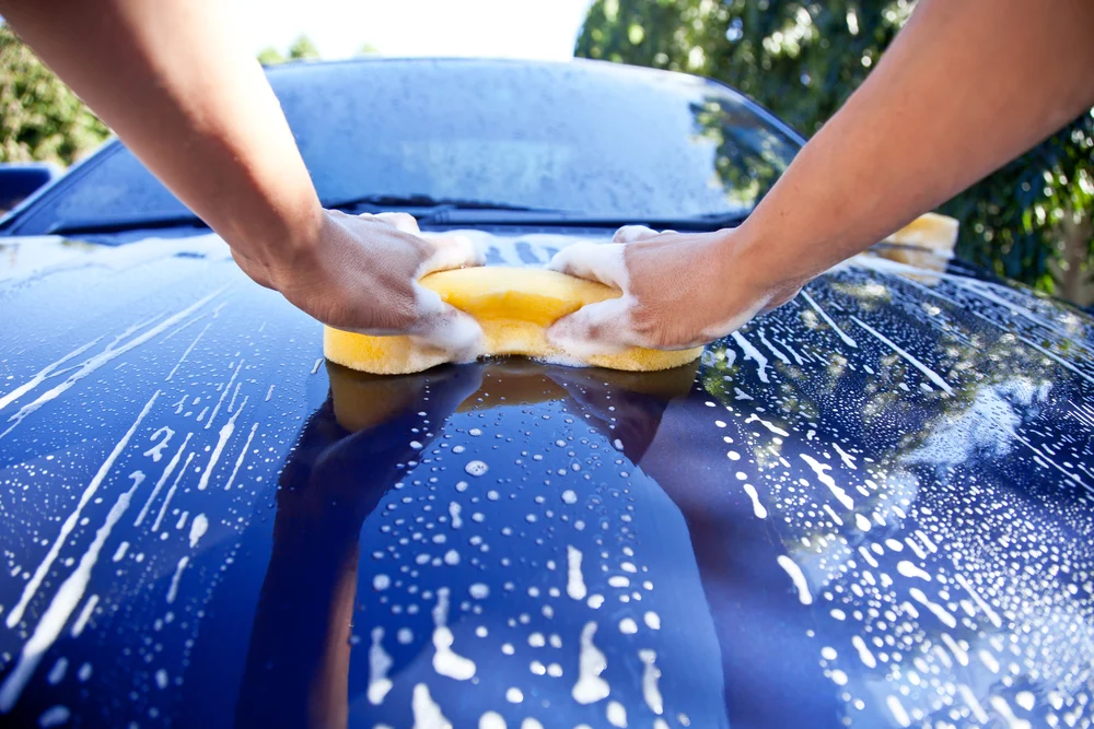 Thorough Cleaning and Detailing