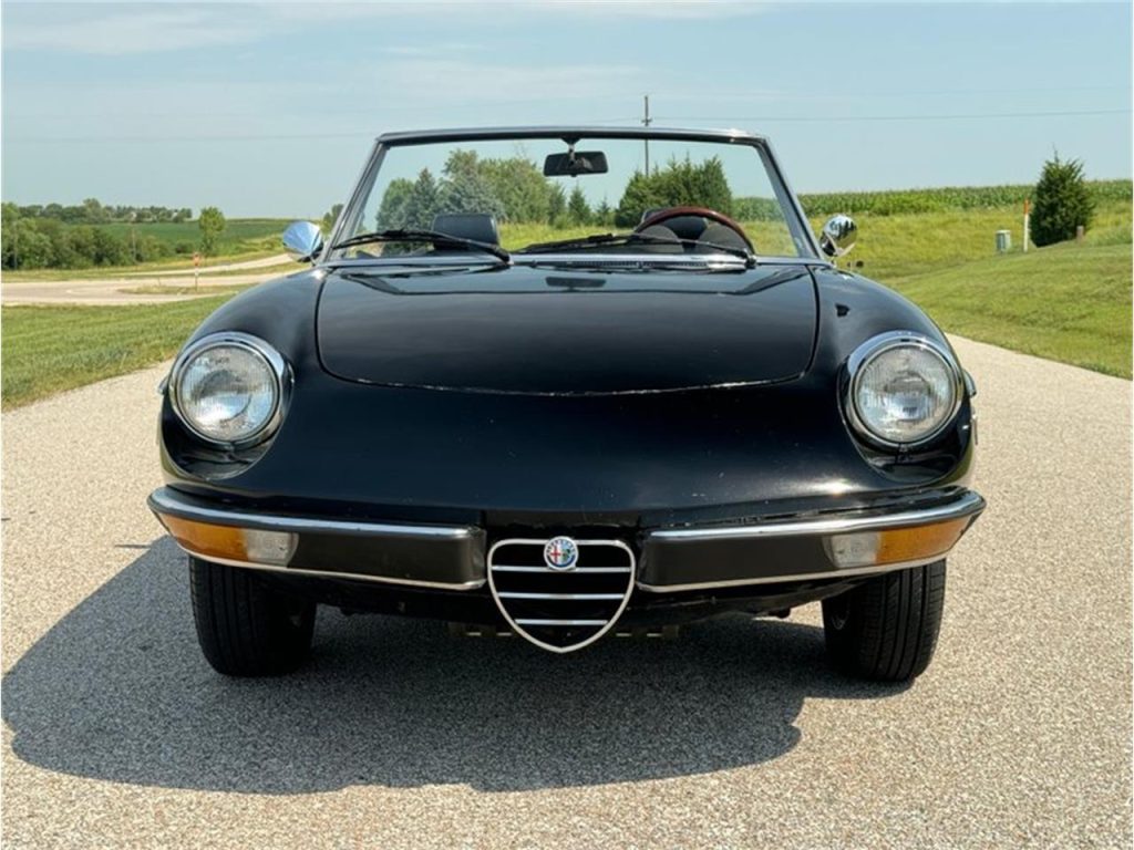 1976 Alfa Romeo Spider 2