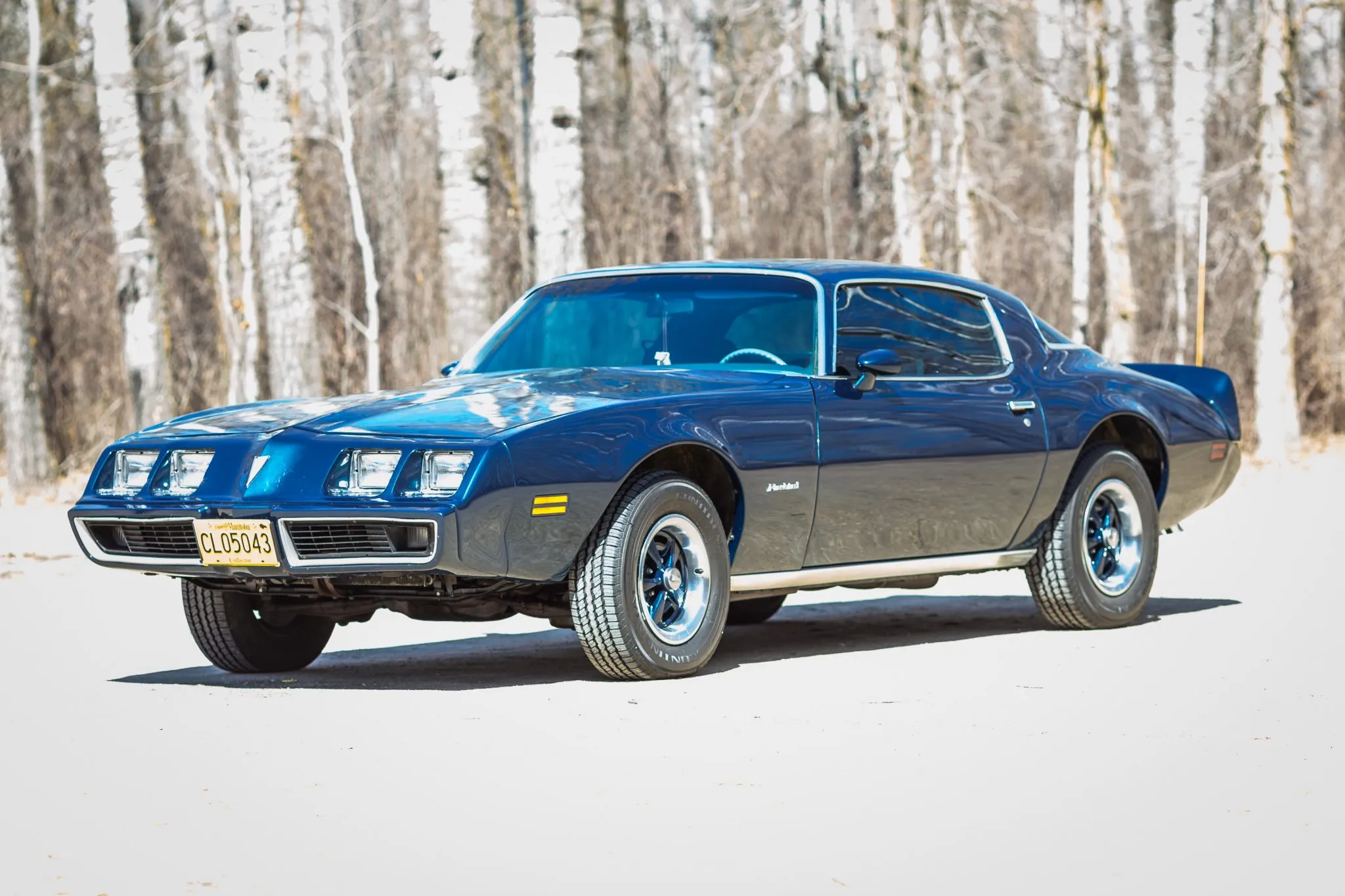 1979 Pontiac Firebird Esprit