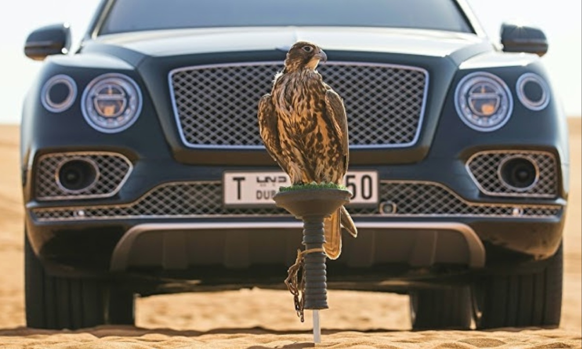 Bentley Bentayga Falconry Edition Luxury for Falconers