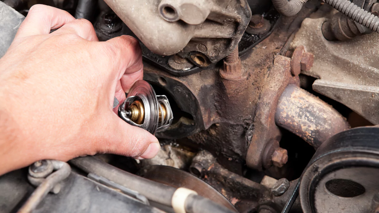 Car Thermostat Replacement