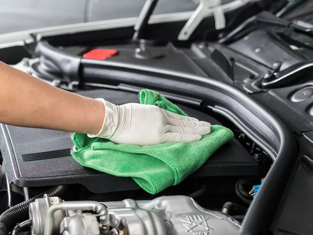 Cleaning the Engine Bay