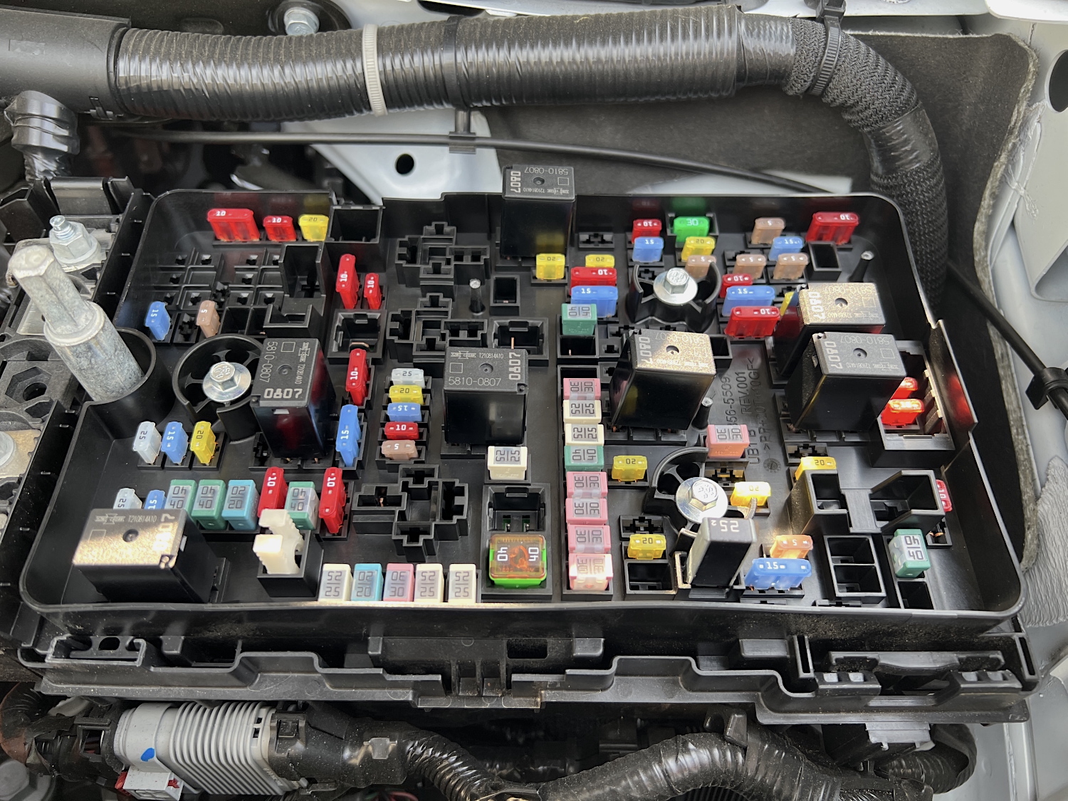 Examine the Fuse Box and Relays