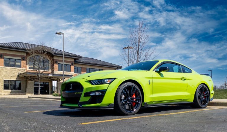 Ford Shelby Mustang GT350 GT500