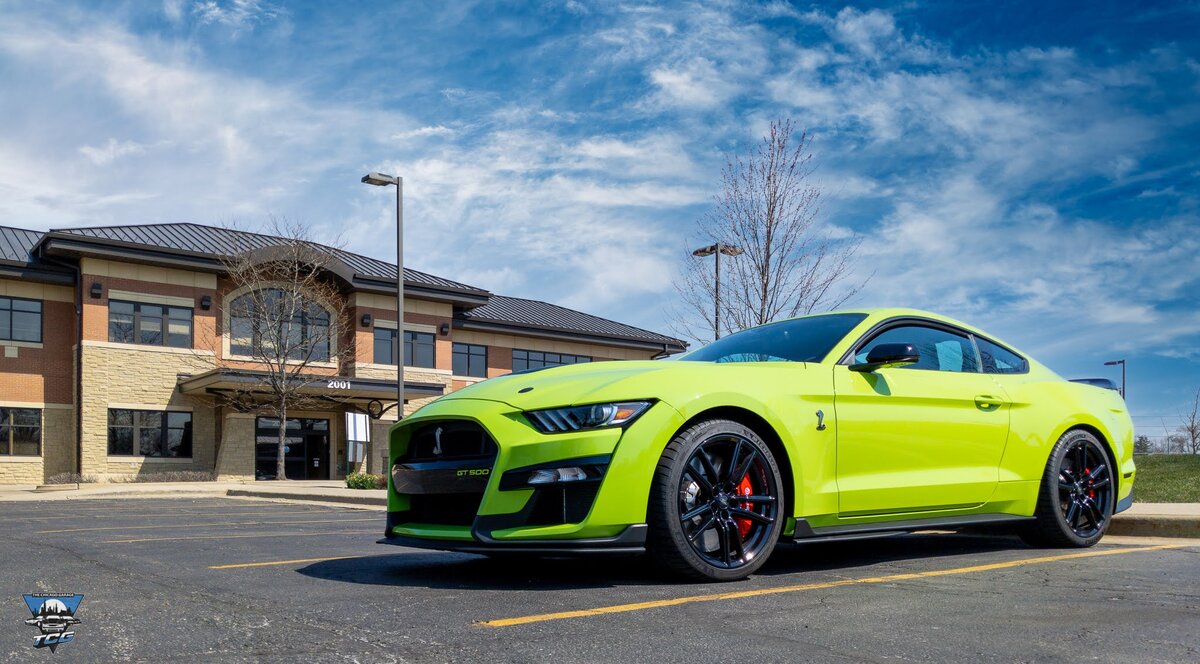 Ford Shelby Mustang GT350 GT500