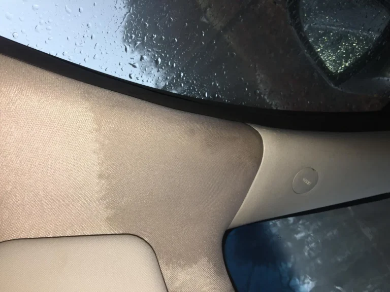 How to Identify and Fix Windshield Leaks to Prevent Interior Damage and Health Hazards