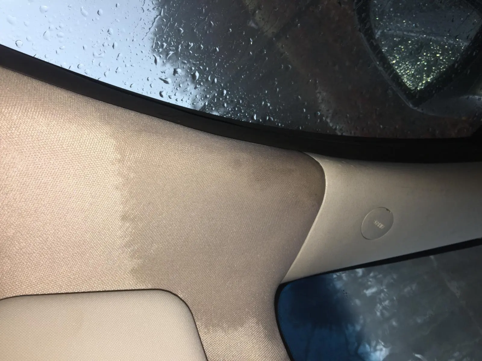 How to Identify and Fix Windshield Leaks to Prevent Interior Damage and Health Hazards