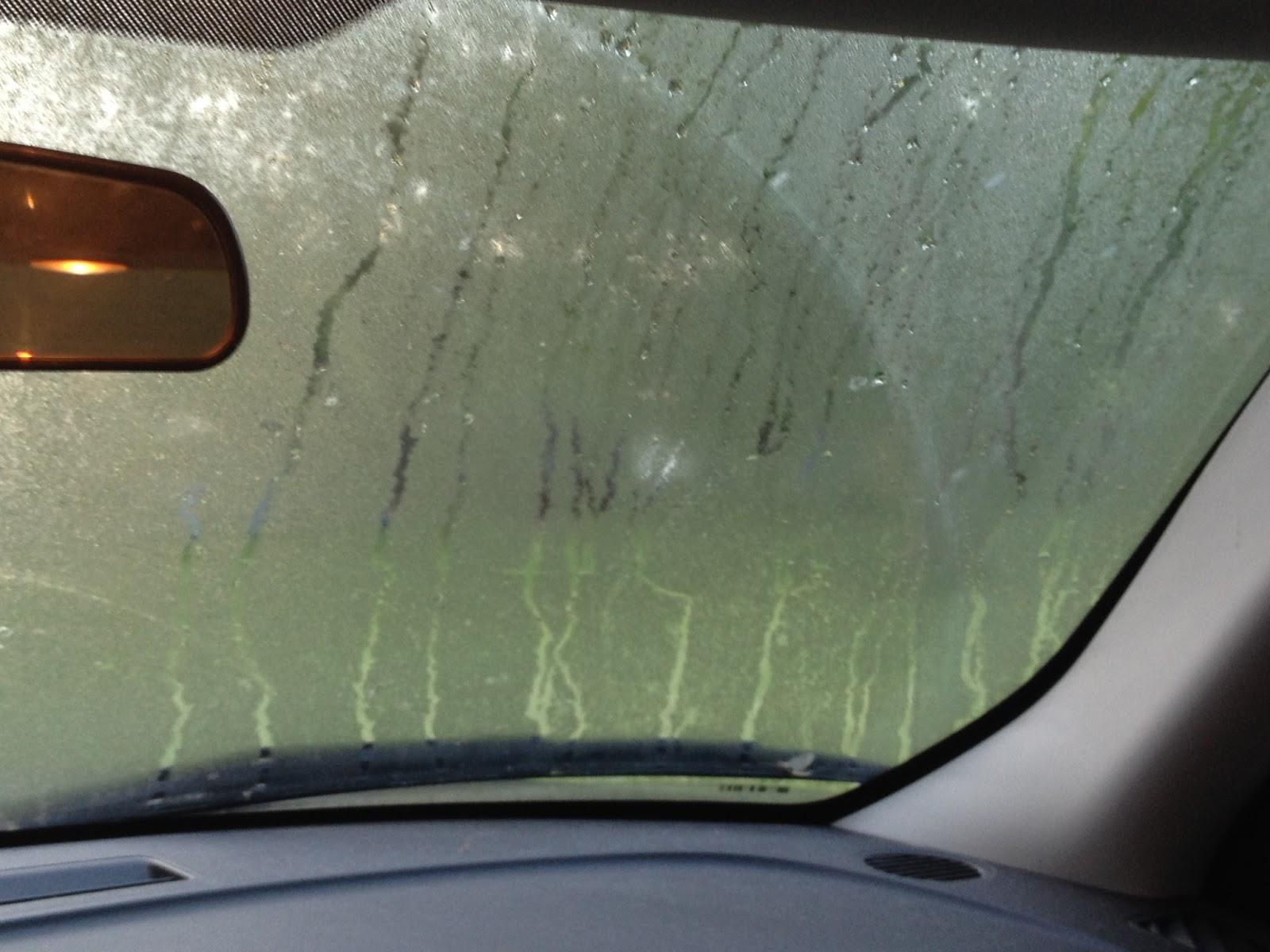 Minimize Moisture Inside Your Car