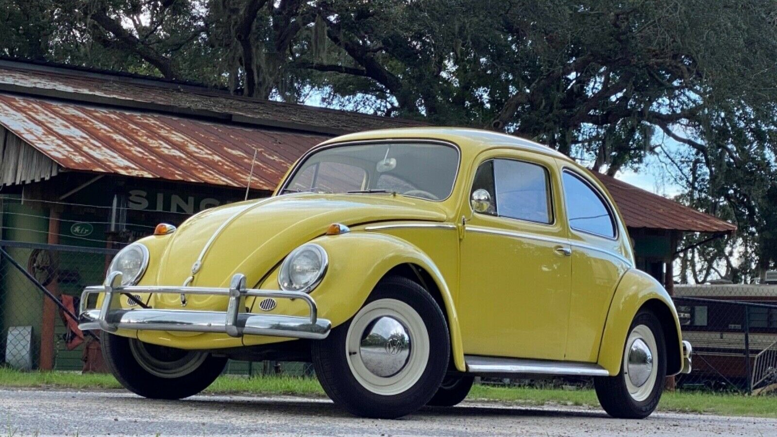 The Classic Original Beetle