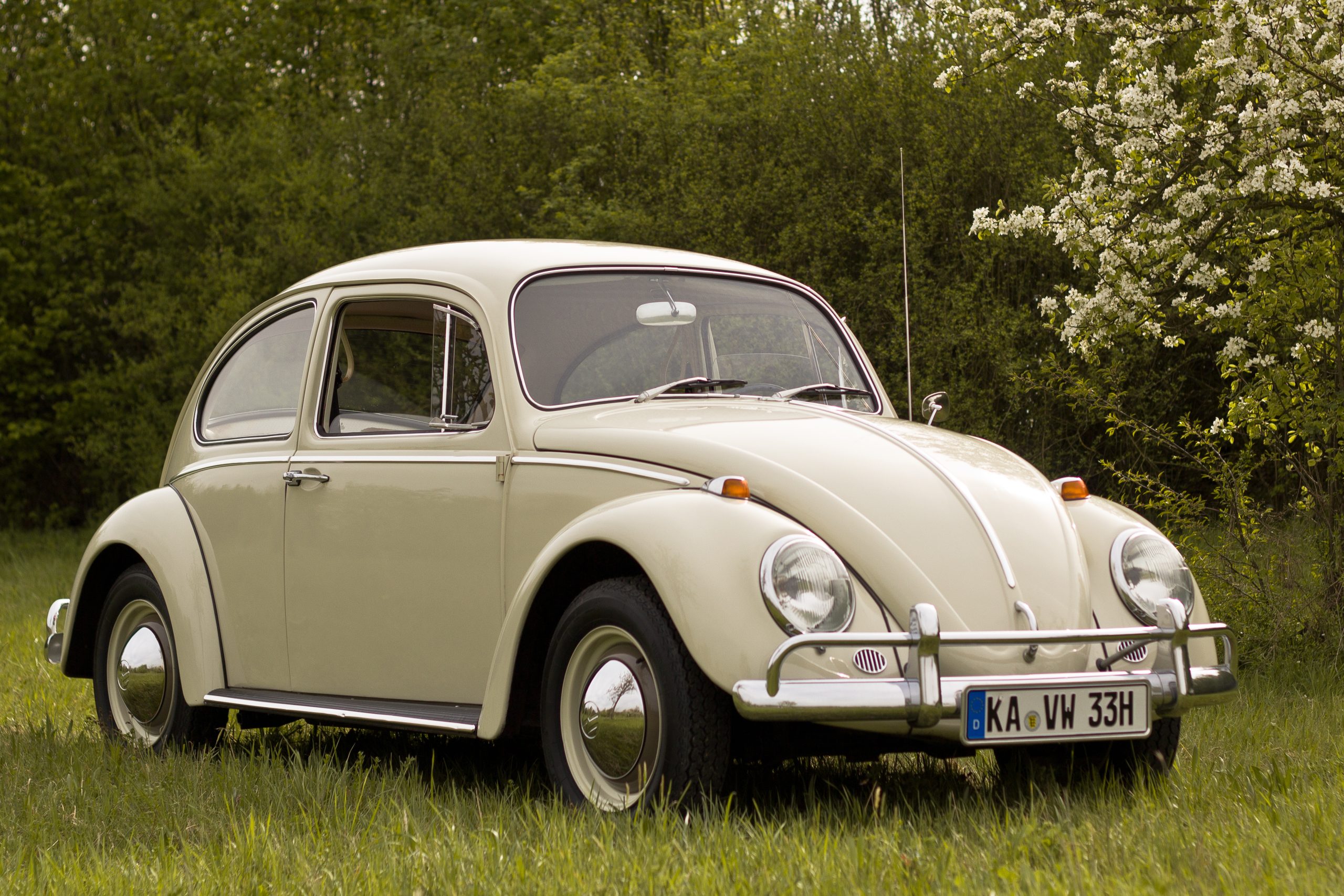 The Original Beetle