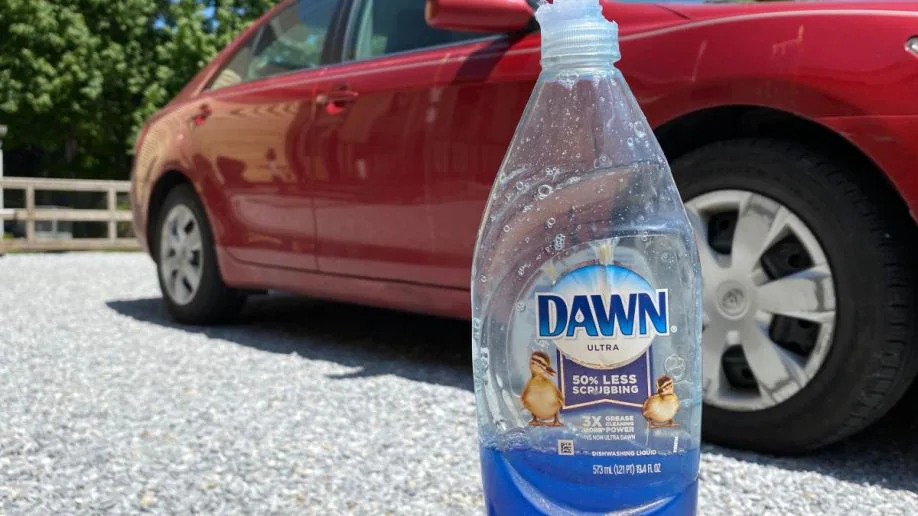 Using Dish Soap Instead of Car Wash Soap