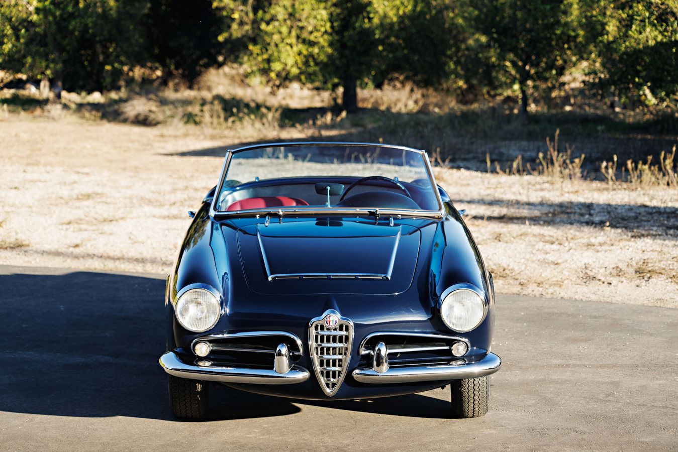 1965 Alfa Romeo Giulia Veloce Spider 2