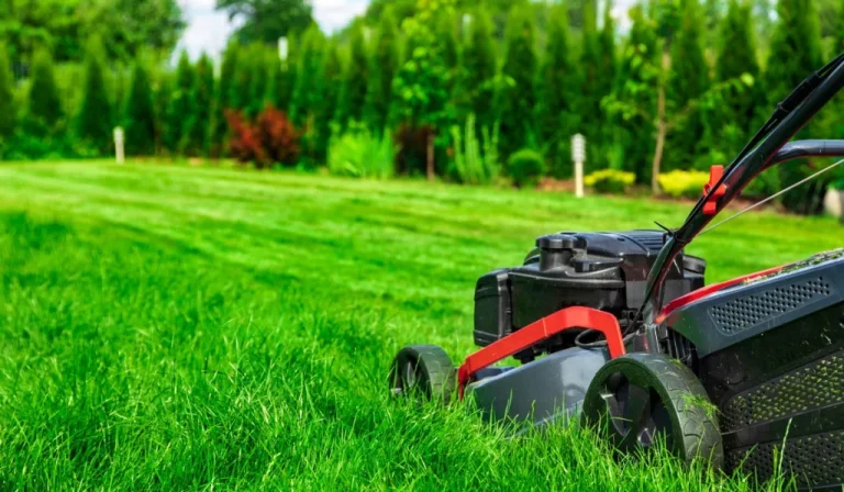 California Targets Air Pollution with Ban on Gas Powered Lawn Equipment Starting in 2024