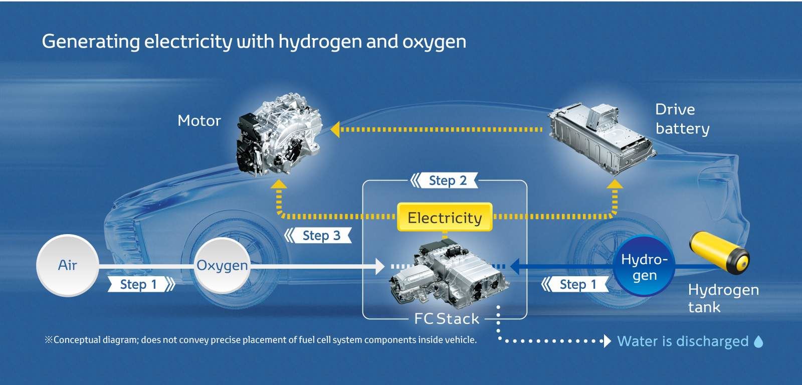 Hydrogen Fuel Cell Technology