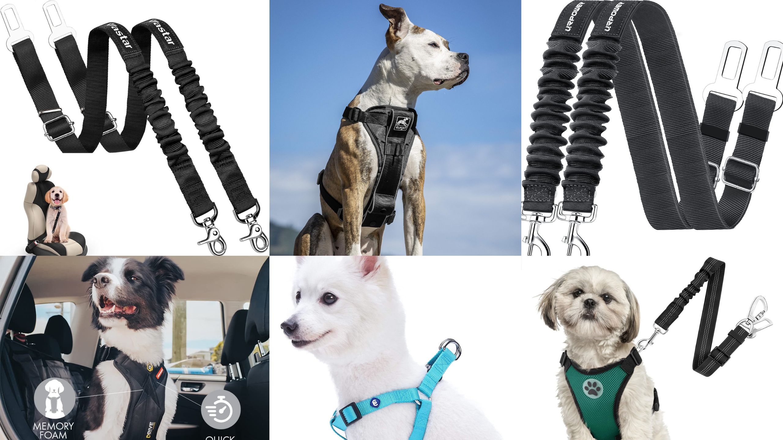 10 Affordable Pet Seat Belts and Harnesses