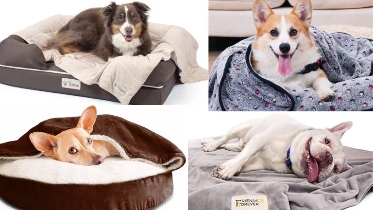 10 Best Car Friendly Pet Blankets