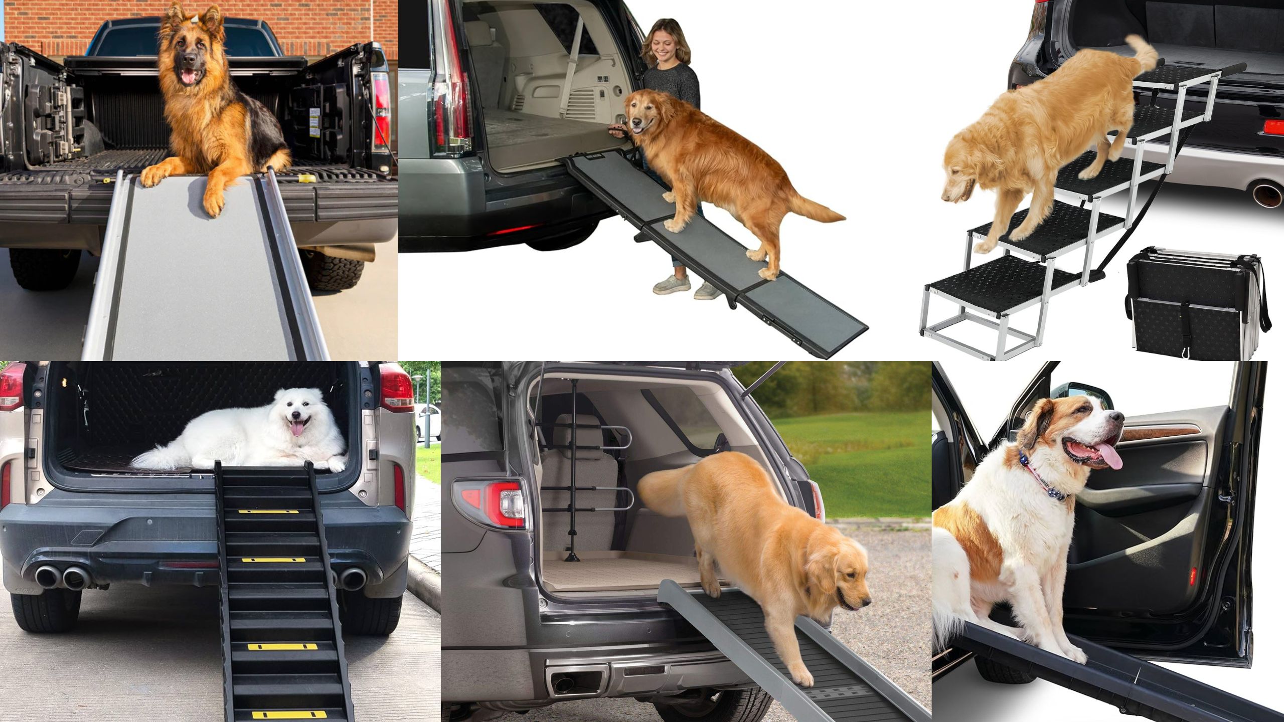 10 Best Pet Ramps for SUVs and Trucks